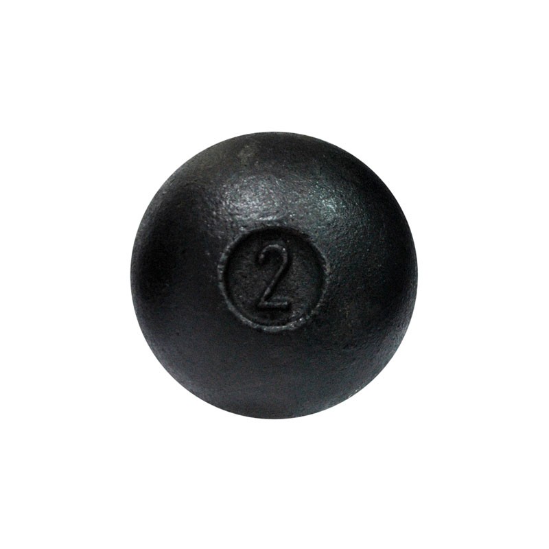 Bola de Arremesso 2kg